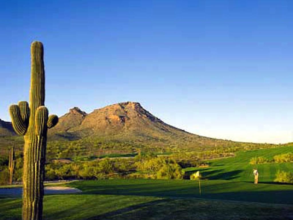 Gated Mountain View Resort Community, Centrally Located, Three Heated Pool-Spa Complexes, Half-Mile To Hiking! Phoenix Buitenkant foto